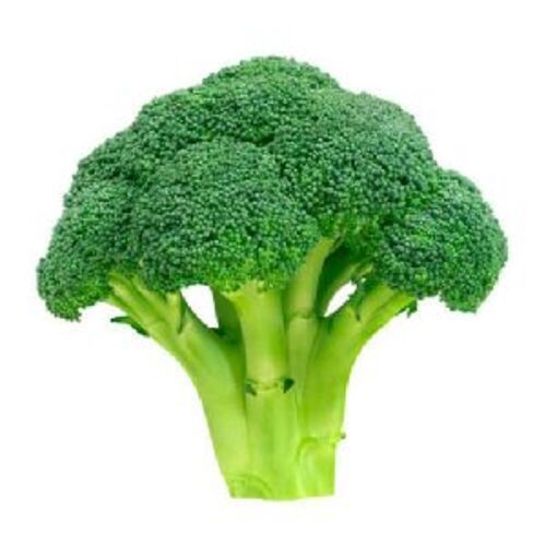 Natural Fresh Broccoli For Cooking Preserving Compound: Cool & Dry Places