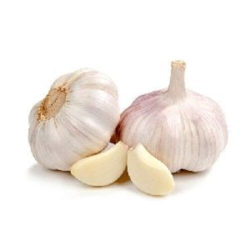 Natural Fresh Garlic For Cooking Preserving Compound: Cool & Dry Places