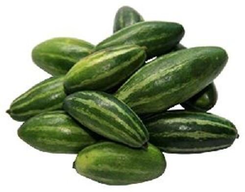 Natural Fresh Pointed Gourd for Cooking