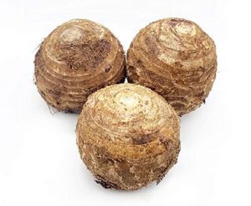 Natural Fresh Taro Root For Cooking Preserving Compound: Cool & Dry Places