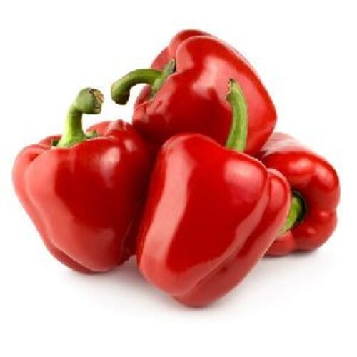 Natural Fresh Red Capsicum for Cooking