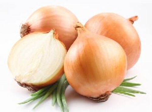 Natural Fresh Yellow Onion for Cooking