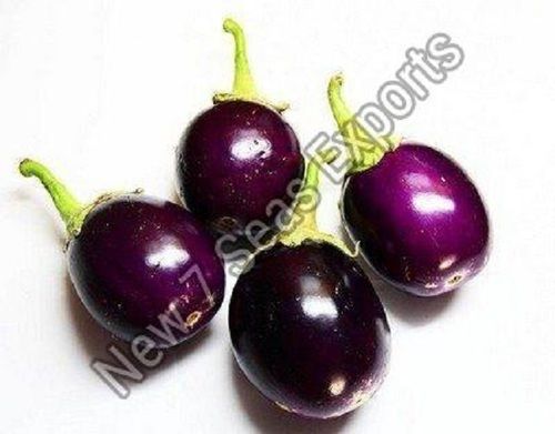 Best Quality Fresh Brinjal For Cooking Vegetable, Purple Color