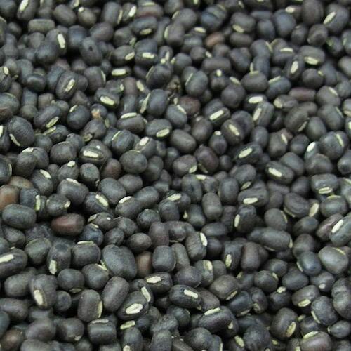 High in Protein Healthy Dried Organic Whole Black Urad Dal