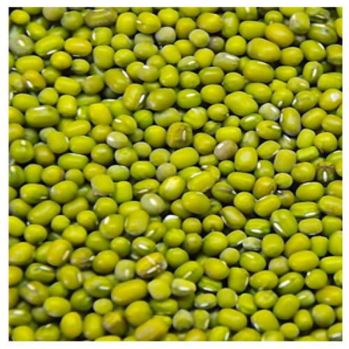 High Protein Rich In Taste Healthy Organic Whole Green Moong Dal