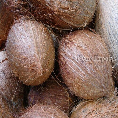 Full-Husked Maturity 100.00% Organic Healthy Natural Taste Brown Fully Husked Coconut