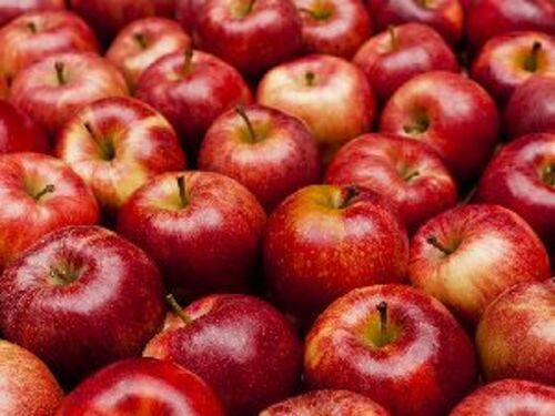 Natural Fresh Apple Fruit