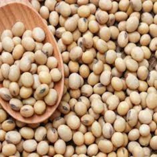 Potassium per 1,797mg 51% Carbohydrate per 30g 10% Natural Taste Healthy Organic Dried Soybean Seeds