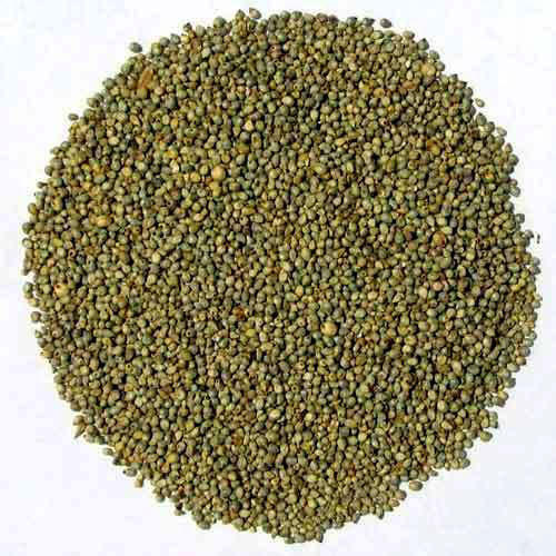 Sodium 5mg Good Taste Natural Healthy Dried Organic Green Millet Seeds