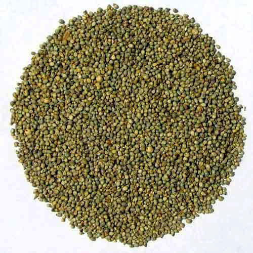 Sodium 5Mg Good Taste Natural Healthy Dried Organic Green Millet Seeds Grade: Food Grade