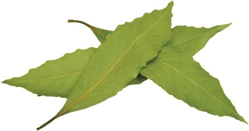 Dried Bay Leaf Used In Food Cuisine