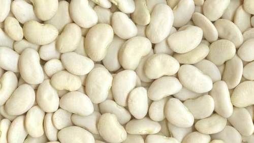 First Grade Dry Quality Lima Beans