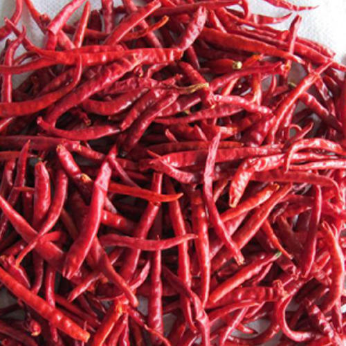 Hot Spicy Taste Rich In Color Healthy Organic Dry Red Chilli