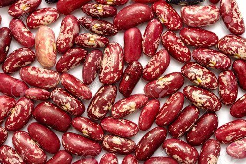 Light/Red Speckled Kidney Beans