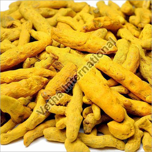 Yellow Natural Fresh Turmeric Finger For Cooking