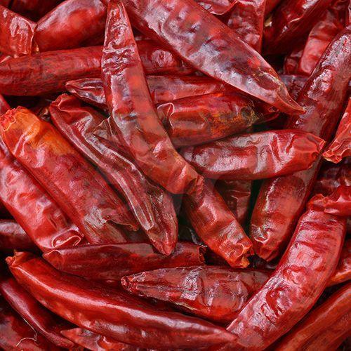 Length 6 to 9 cm Moisture 10-15% Hot Spicy Natural Taste Stemless Dried Red Chilli