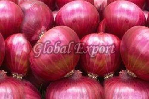 Natural Fresh Red Onion For Cooking Preserving Compound: Cool & Dry Places