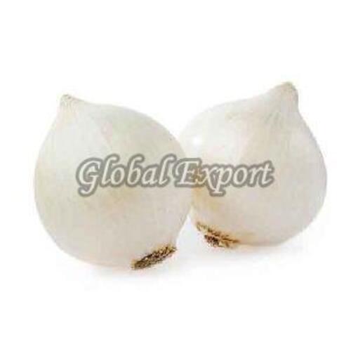 Natural Fresh White Onion for Cooking