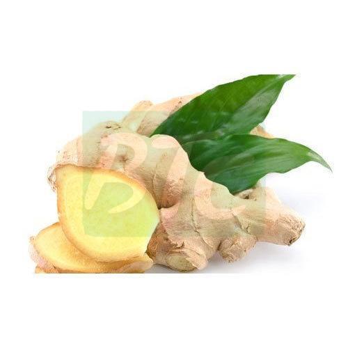 Natural Good Taste and Healthy Brown Fresh Ginger