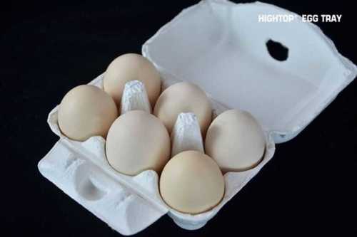 egg box