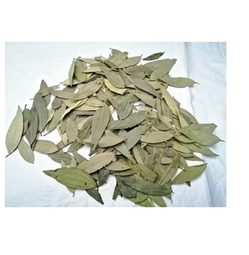 Rich In Natural Taste Sorted Type Long Size Clean A Grade Pure Organic Bay Leaf