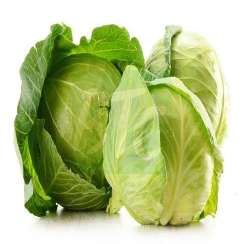 Vitamin A 1% Iron 2% Natural Taste Healthy Green Fresh Cabbage