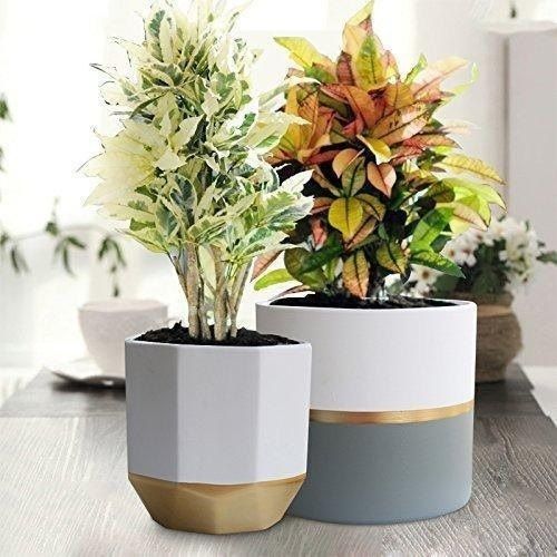 White Color Plain Garden Planters