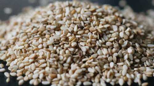 Organic Common White Sesame Seed