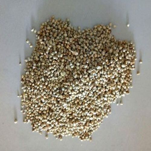 Good Taste Gluten Free Natural Healthy Organic Dried Millet Seeds
