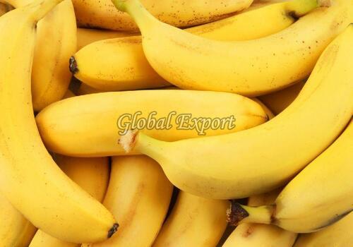 Yellow Natural Fresh Banana Fruits