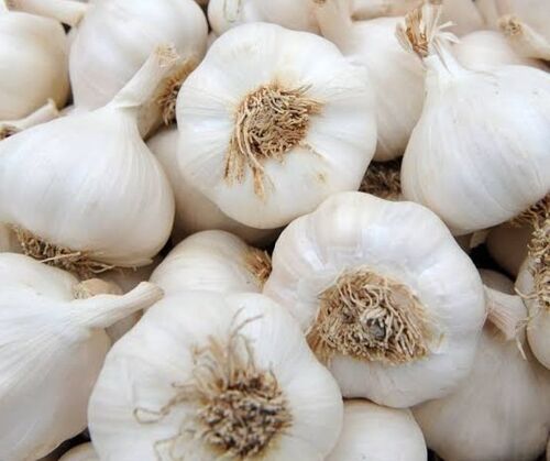 Natural Fresh Organic Garlic for Cooking