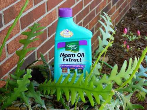 Herbal Neem Oil Extract Pesticides