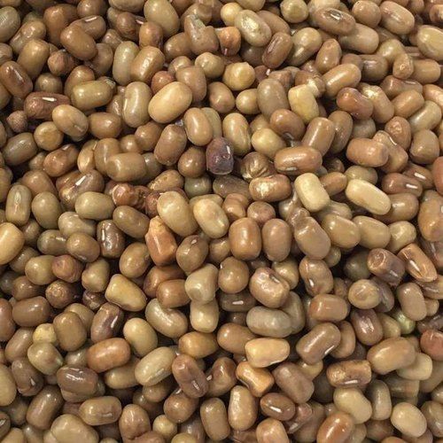 Maturity 100% Healthy Natural Taste Dried Brown Organic Moth Beans Grade: Food Grade