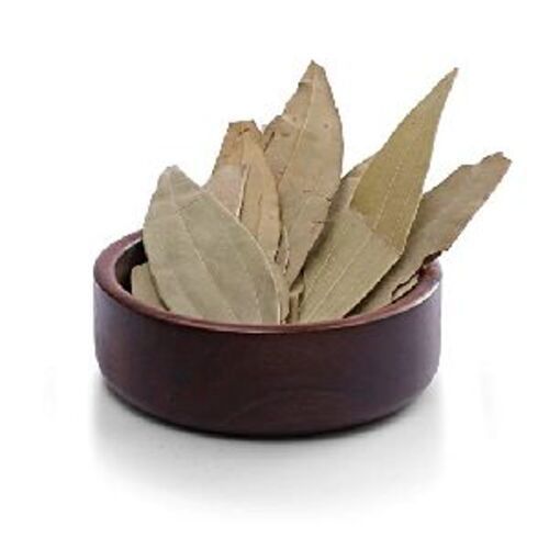 Natural Dry Bay Leaf for Cooking