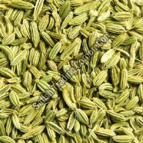 Natural Green Fennel Seeds for Cooking