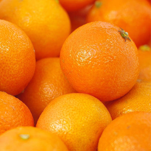 No Artificial Flavour No Pesticides Natural Taste Healthy Organic Fresh Orange