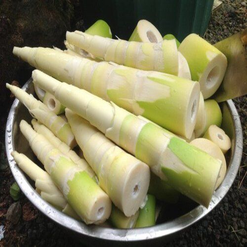 No Pesticides Organic Natural Taste Green Bamboo Shoot