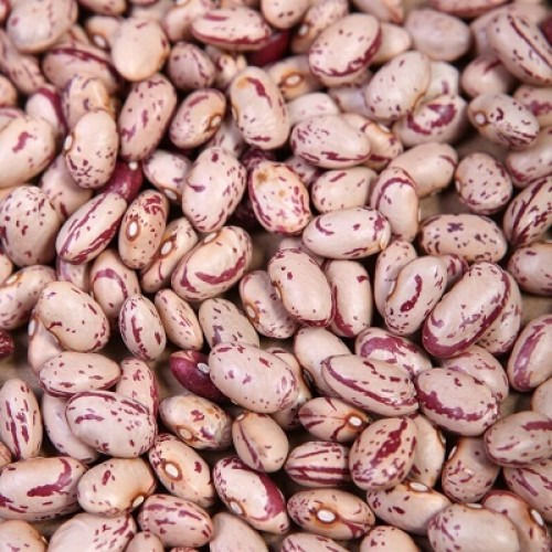 Organic Dried Healthy Natural Taste Light Brown Speckled Kidney Beans