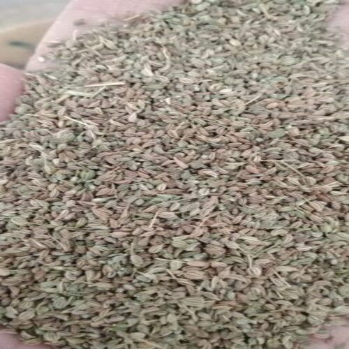 Sorted Dried And Pure Organic Indian Naturally Grown A Grade Whole Ajwain Seed