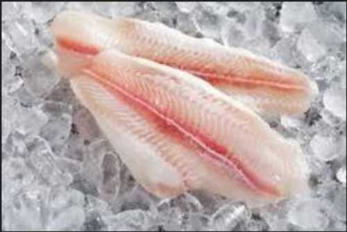 Cold Storage Frozen Fish