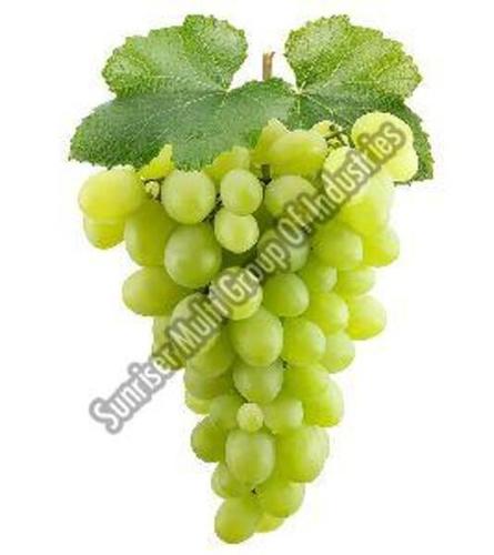 Organic Natural Fresh Green Grapes