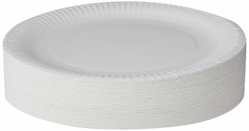 Light Weight White Thermal Disposable Plate For Food Eating