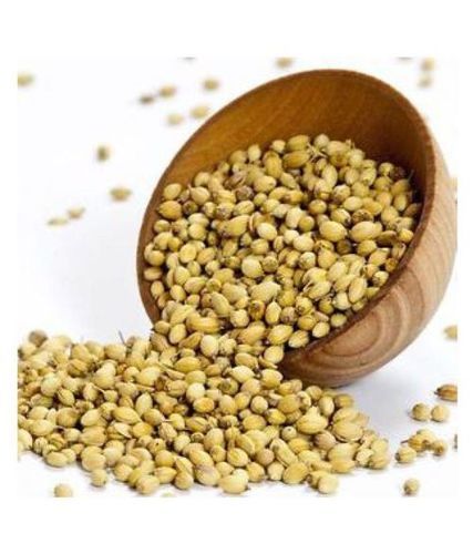 98% Purity Organic Coriander Seeds