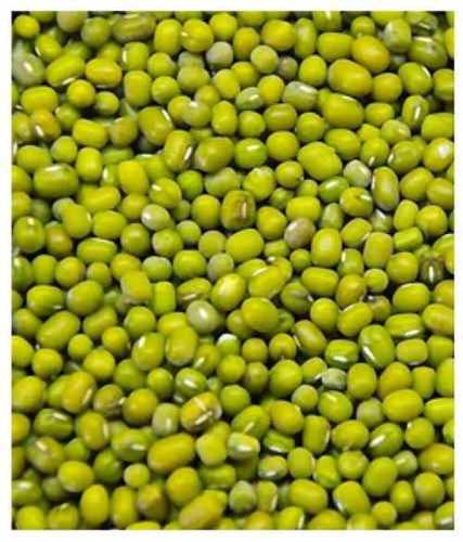 Green Color Moong Seeds