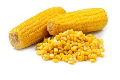 Non Glutinous Corn Seeds
