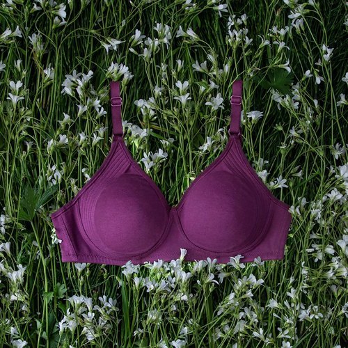https://tiimg.tistatic.com/fp/1/007/224/encircle-non-padded-plain-cotton-bra-for-ladies-high-coverage-purple-color-inner-wear-339.jpg