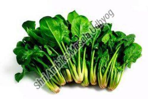 Natural Fresh Green Spinach Leaves for Cooking