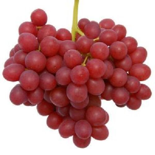 Natural Fresh Red Grapes