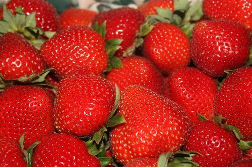 Natural Red Fresh Strawberry Fruits
