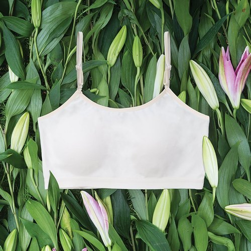 Non-padded 100% Cotton Plain Beginners Bra For Ladies, Skin Friendly, White  Color, Inner Wear Size: Available In Many Different Size at Best Price in  Ernakulam